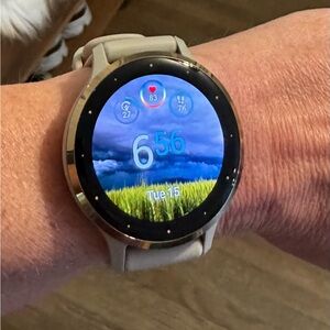 Garmin Venu 3S French Grey